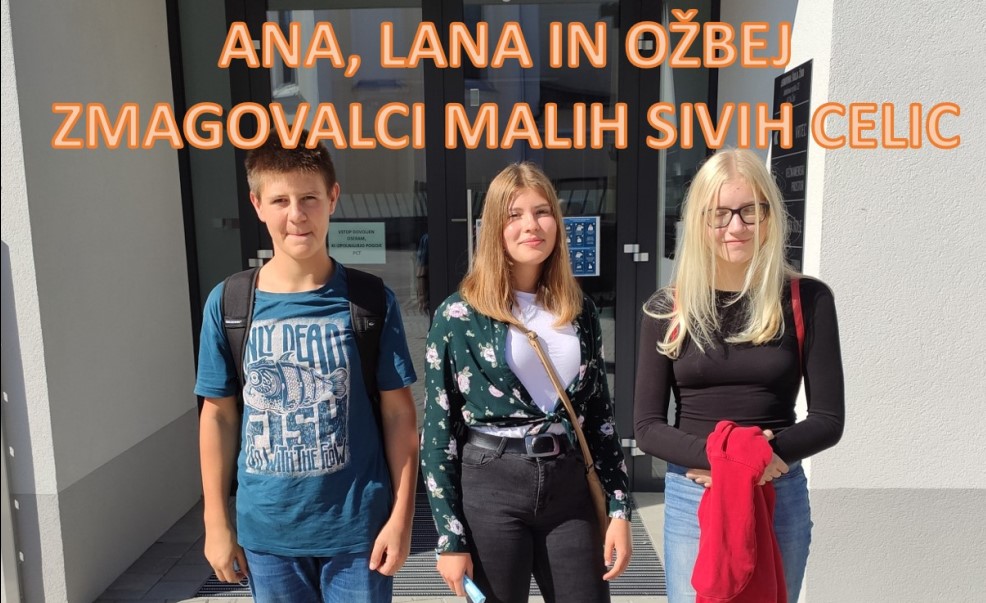 Male sive celice